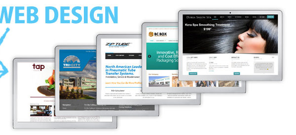 What is the Importance of Professional Website Design?