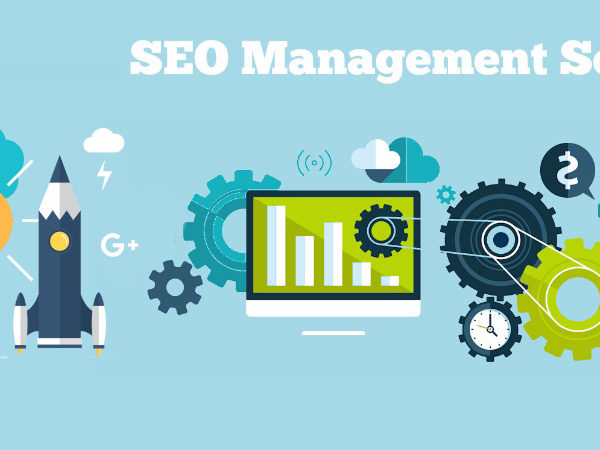 What are the Important Perks of Hiring an SEO Management Company?